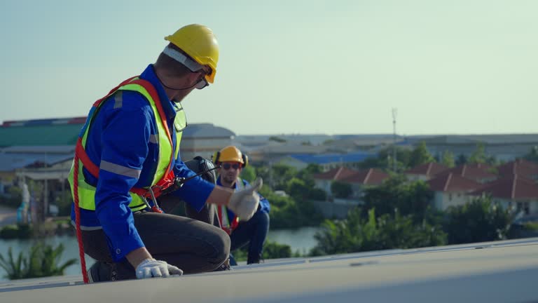Best Skylight Installation and Repair  in Forty Fort, PA