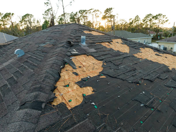 Best Rubber Roofing (EPDM, TPO)  in Forty Fort, PA