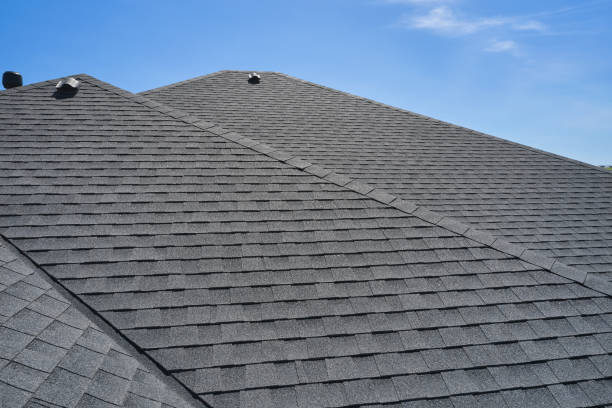 Best Roof Maintenance and Cleaning  in Forty Fort, PA